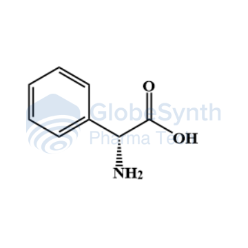 GS.24.CEF.01.png