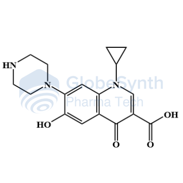 GS.71.CIP.06.png